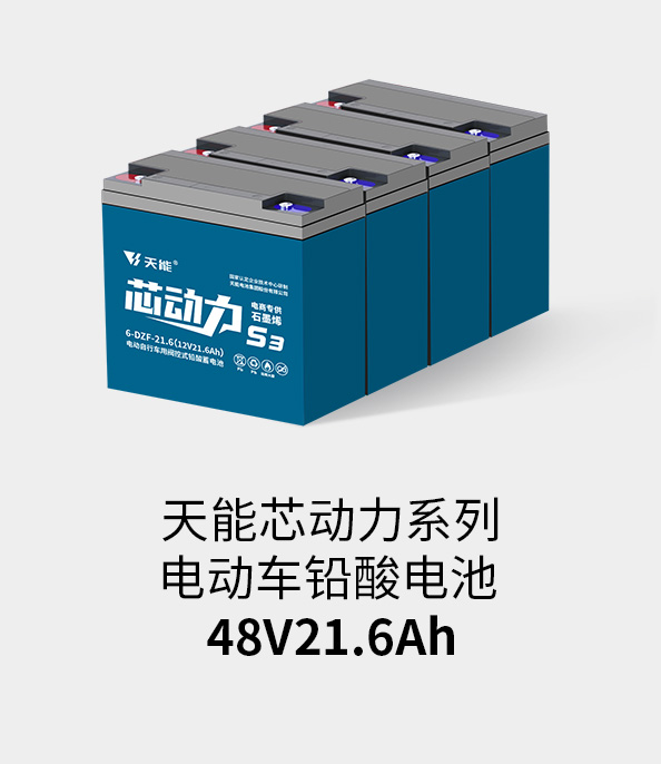 必博电池48v20ah
