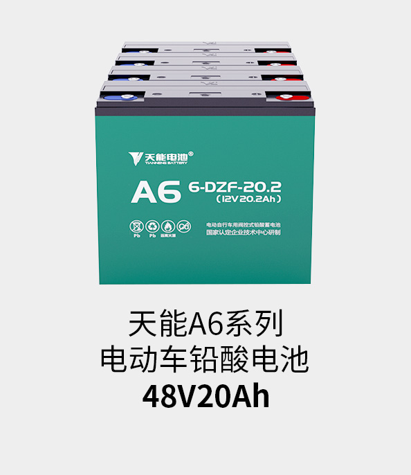 必博电池48v20ah