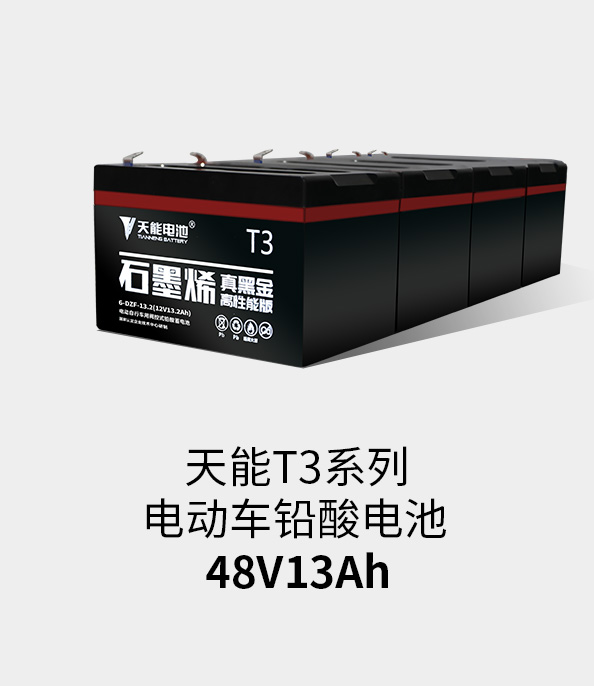 必博T3系列48v13ah