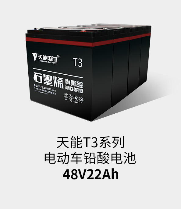必博T3系列48v22ah