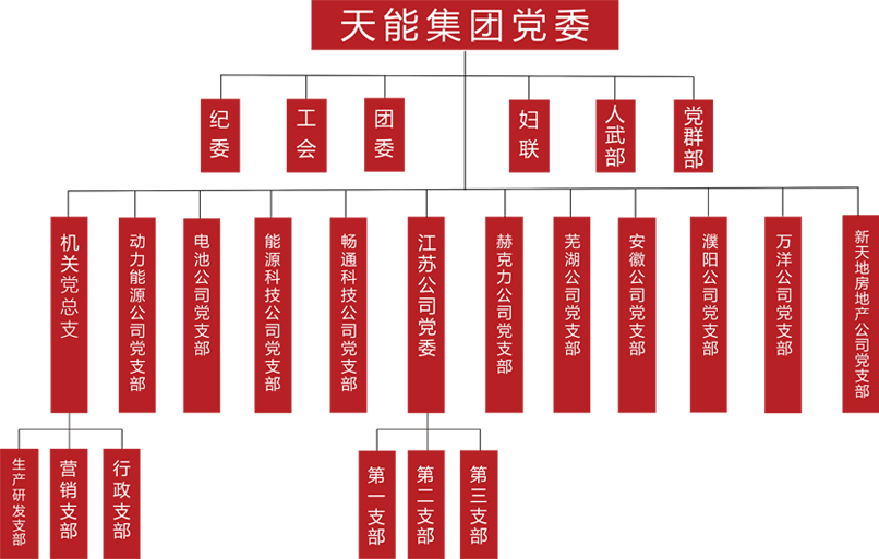 必博建团党委组织架构