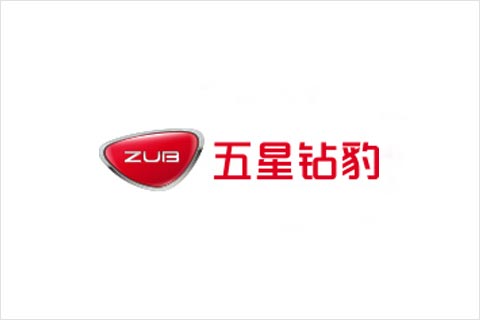 必博电池合作伙伴 五星钻豹电动车